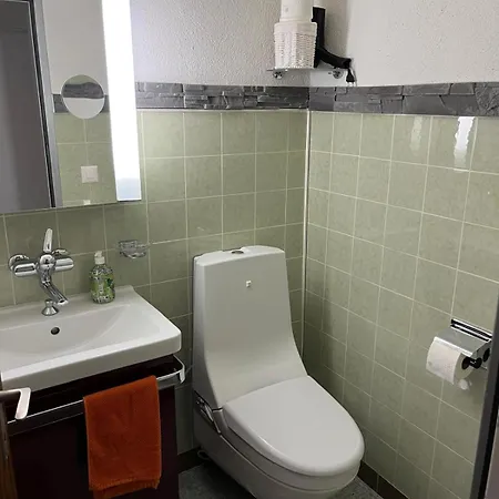 Cosy Haus Olympia Apartment Leukerbad